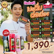 !!โปรใหม่สุดคุ้ม!! Macher Tea ชามาเชอร์ 6 กล่อง แถมขวดมีที่กรองชาสุดหรู เครื่องดื่มชาเยอบามาเต Yerba Mate ชาออแกนิค ชาสมุนไพร ทางเลือกเพื่อสุขภาพ