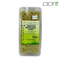 OON Organic Spinach Ramen