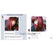 (Red Brown) Hair dye