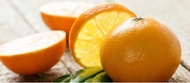 benih/bibit/biji jeruk bergamot