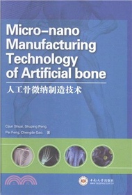 人工骨微納製造技術（簡體書）
