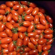 玉女番茄，皮薄，香甜又多汁😄每斤80超便宜，北部市價約150～200，歡迎大家搶購👍