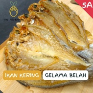 Ikan Masin Gelama Belah 1KG Ikan Kering Gelama Belah Ikan Gelama Bekok Ikan Gelama Belah Tawar/ Masi