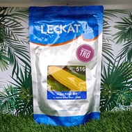 Hot🔥 Paket 500 Gram 516 SUGAR KING LECKAT Biji Benih Jagung Manis 3000 Biji@Butir / Leckat Seeds / F