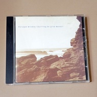 CD Polygon Window (Aphex Twin) Surfing On Sine Waves. 1992 WARP RECORDS. Electronica IDM