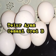 Telur Ayam Cemani/Hitam Gred B Sebiji