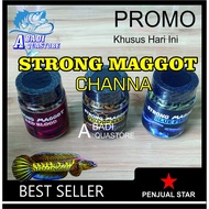 STRONG MAGGOT Chana - Chana MAGGOT BSF Fish Pellets - MAGOT BSF - Chana Color Feed - Predator Feed