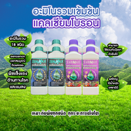 อะมิโนรวมเข้มข้น Zenmax + แคลเซียมโบรอน Cabmax เหมาะกับพืชทุกชนิด ทุกระยะการเติบโต 8 ลิตร