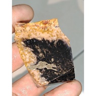 raw fossil nibong kursani asli.super rare item