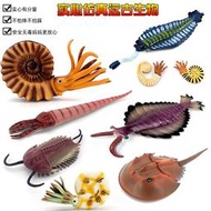 萬物模型✨仿真遠古生物鸚鵡螺三葉蟲菊石模型鱟角石玩具塑膠兒童科教育禮物