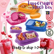 🎁 Hadiah Tupperware🎁Wish card 🎁Tupperware TUPPAO Foodie Buddies (4) TUPpao
