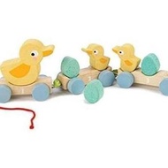 Tender Leaf Toys - Pull Along Ducks - Classic Wooden Pull Along Toy - 9pc Duck Family Set