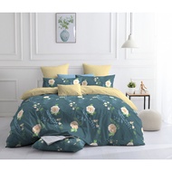 Bộ chăn ga áo gối Cotton NV Rubie 1m2x2m 1m4x2m 1m6x2m 1m8x2m +30cm