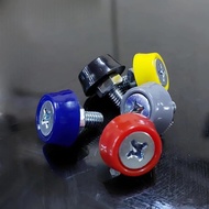 1 number plate bolt, lock bolt, 10 screwdriver bolts