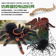 Animal Toy Toy Remote Control 2 Model Remote Control Toy High Simulation Scary Electric Remote Contr