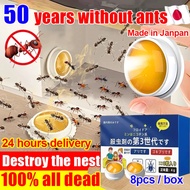 Ant insecticide 8pcs/box ant bait ant killer ant colony dies new formula ant killer ant killer Racun