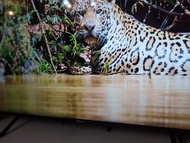 55吋4K智能 電視SmartTV