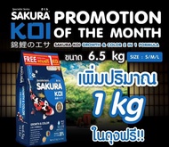 1 แถม 1 * อาหารปลาคาร์ฟซากุระโค่ย สูตรเร่งโต&เร่งสี SAKURA KOI GROWTH&COLOR 2in1 ขนาด 6.5 กก.