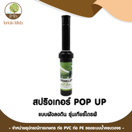 เครื่องรดน้ำอัตโนมัติ สปริงเกอร์ ป๊อปอัพ POP UP หัวฉีดเล็กสูง ขนาด 6/3.5/4.5 นิ้ว เกลียวใน 1/2" สปริงเกอร์สนาม 4บาร์ - โตไว