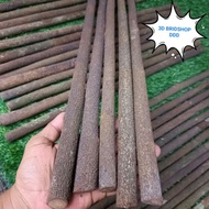 SUPER BALI ASEM WOOD PERCH FOR BALI JALAK, KEPUDANG, BEO ETC, UK, JUMBO DIAMETER 1.8cm TO 2.2cm