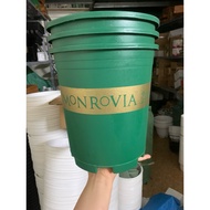 Combo of 5 green pots of 3 gl (24x26 cm)