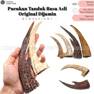 Kerajinan Pucukan Tanduk Rusa Bahan Once Asli Original Dijamin