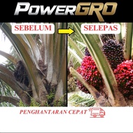 Powergro Baja Sawit PowerGro Microb 4 Liter -Baja Foliar Semburan 100% Organik  Sawit- Buah Padu