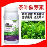茶叶叶面肥茶叶催芽剂920催芽茶园促长剂生长素茶叶先锋茶树催芽tea leaf fertilizer tea sprouting agent 920 sproutingfuyu888.my