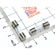 [Combo of 20] Glass fuse 4A 250V 5x20mm F4AL250V20