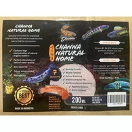 Channa Flare Tonic &amp; Channa Natural Home Vitamin Ubat Kesihatan Ikan Channa 200ml Made in Indonesia 雷龙发火药水 雷龙黑水