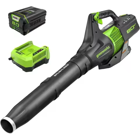 80V (145 MPH / 580 CFM / 75+ Compatible Tools) Cordless Brushless Axial Leaf Blower, 2.5Ah Battery a