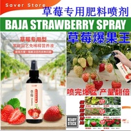 Baja Strawberi Strawberry Fertilizer Nutrisi Cecair Sedia Pakai untuk Pokok Dalam Rumah Pokok Pasu Pokok Buah草莓肥料专用肥营养液