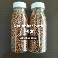 Coriander Seeds 40g tumbar Original Coriander Seeds