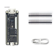 Tang Nano 9K FPGA Development Board GOWIN GW1NR-9 RISC-V -Compatible
