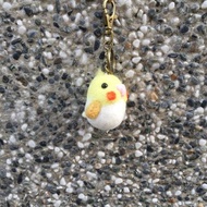 黃化 玄鳳鸚鵡 鳥控 羊樂多羊毛氈樂園