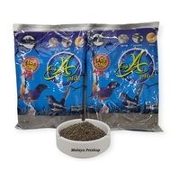 Dedak Top Song A Plus (Dedak Burung Murai Batu / Kampung / Cacing)(Keluaran Premium YPA Premium Gold