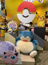 ［預購］台灣限定 pokemon 寶可夢 翻轉造型 抱枕 皮卡丘 寶貝球 卡比獸 超級球