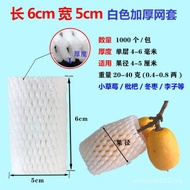 Net Cover Protective Cover Peach Protection Net Net Loofah Kiwi Fruit Cover Net Bagged Shockproof Lo