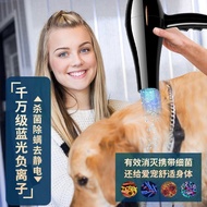 新品现货宠物吹风机大功率吹风机泰迪金毛吹风机大狗吹风机中大型犬吹风机Pet hair dryer, high-power hair dryer, Teddy Golden Hair20250606