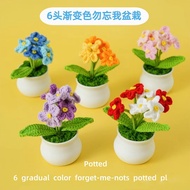 Mzb 1 Piece Finished Product Crochet Gradient Color Don't Forget Me Not Flower Small Potted Plant Pu
