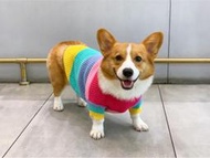 彩虹毛衣 條紋毛衣 大狗衣服 寵物毛衣 秋冬服飾 貴賓狗 中型犬 大型犬服飾 雪納瑞 西高地 比熊 柯基 法鬥 柴犬