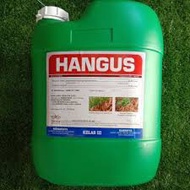 20L Hangus Glyphosate 41% Herbicide Racun Rumput
