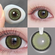 Magister Contact Lens Brown /Black Colored Lens Big Eye 14.5mm / 16mm Lens 6 Months Use 2Pcs Make up