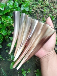 Pipa once tanduk kerbau super full bule 15cm