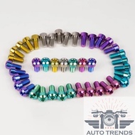 Titanium Probolt Bolt M 6 M6 Grade 5 Bolt Thread 10 Key 10 Bolt 10