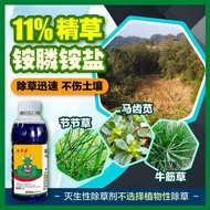 Glufosinate Ammonium Salt Herbicide 高浓度草胺磷11%精草铵膦铵盐灭草剂农药除草剂农用