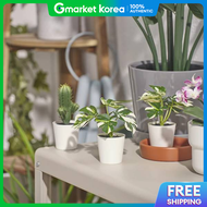 IKEA | Fejka Artificial Plant + Pot Monstera Height 14cm
