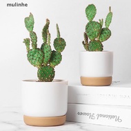 【MUL】 Succulent Plant Pot Double-layer Succulent Green Dill Small Green PlantFlowerpot .