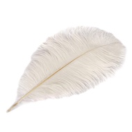 35-45cm100% bulu burung ostrich asli  Bulu Ostrich White Premium Putih/hitam