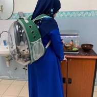 Beg Kucing murah senang dibawa kemana mana